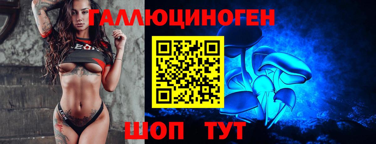 Галлюциногенные грибы Cubensis Щёлково